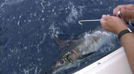 Video thumbnail: Carolina Outdoor Journal Blue Water Adventure