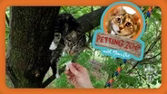 Petting Zoo: Recreational Tree Climber Rescues Cats