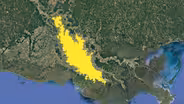 How Louisiana's Mega Swamp Breaks Hurricanes