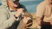 The US Navy Helps Bring Back the Island Fox