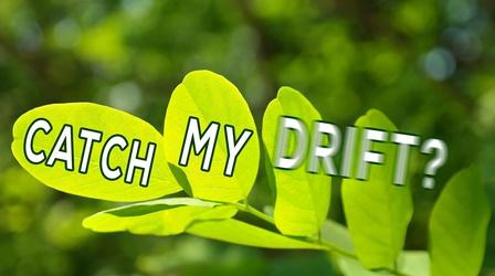 Video thumbnail: Backyard Farmer Digging Deeper: Catch My Drift