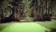 SC's Most Haunted