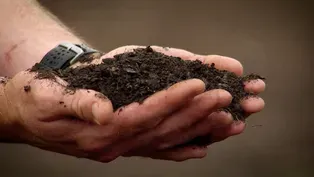 VHG Clippings: Healthy Soil