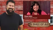 S03 E05: Diane Hahn| Mackinaw Valley Vineyard