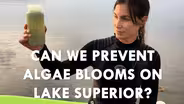 Superior Blooms