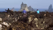 Olympic Coast Photo Essay