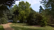 Tree Diversity &Pruning Shrubs