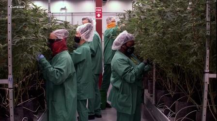 Video thumbnail: NJ Spotlight News Advocates push for cheaper medical marijuana in NJ
