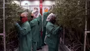 Advocates push for cheaper medical marijuana in NJ