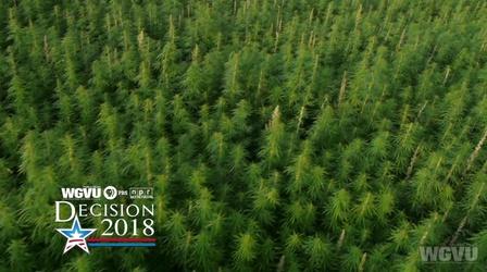 Video thumbnail: WGVU Presents Decision 2018 - Recreational-Use Marijuana