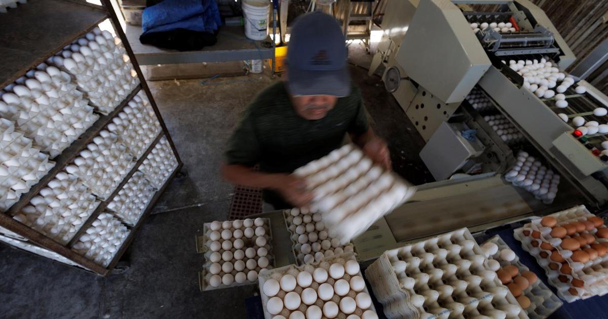 PBS News Hour | Why a deadly strain of bird flu is making egg prices ...