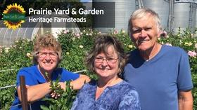Video thumbnail: Prairie Yard & Garden Dahlias and the Cutting Garden