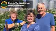 Dahlias and the Cutting Garden