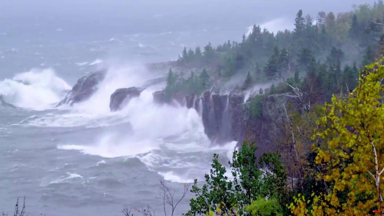 Wild Weather Week