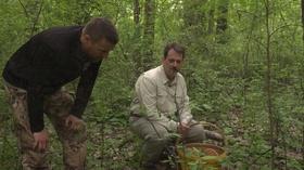 Video thumbnail: Prairie Sportsman Foraging in the Wild