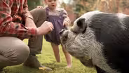 Amazing Animals