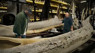 Secrets of the World’s Only Whale Warehouse