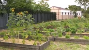 Newark high school creates major urban farm