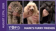8/13/2026 | Funyun, Hot Cheetos and Number 45 | Mark's Furry Friends