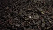 Museum preserves shoes of youngest Auschwitz victims