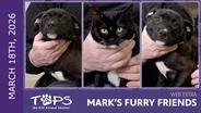 3/19/2026 | Rachel, Sloan and Cameron | Mark's Furry Friends Extra