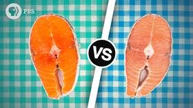 Video thumbnail: Serving Up Science Wild Salmon or Farmed Salmon? Which is the Best Choice?