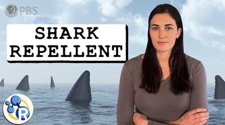 Video thumbnail: Reactions The US Military Gave Out Shark Repellent For Years