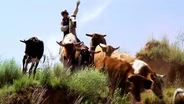 Happy Trails