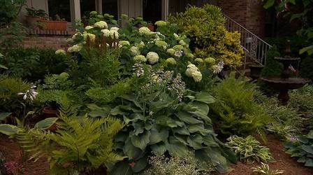 Video thumbnail: Volunteer Gardener Volunteer Gardener 3005