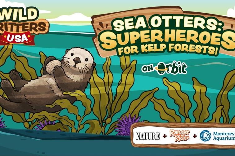 Sea Otters: Superheroes for Kelp Forests | Wild Critters USA Poster