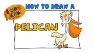 Pelican