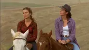 The World Really Needed McLeod's Daughters