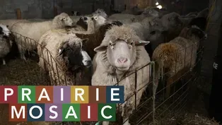 Prairie Mosaic 1605