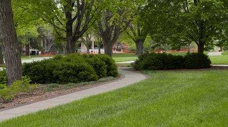 Video thumbnail: Backyard Farmer Fall Landscape Preparation