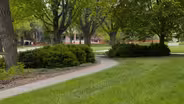 Fall Landscape Preparation