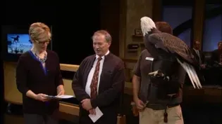 Raptor Center Birthday