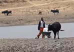 In Zimbabwe, 60 percent of the population is food insecure