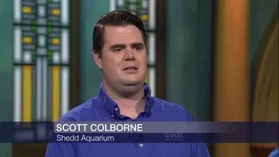New Shedd Scientist Studies Lake Michigan’s Invasive Species