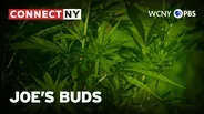 Joe's Buds