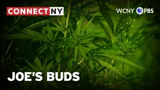 Joe's Buds