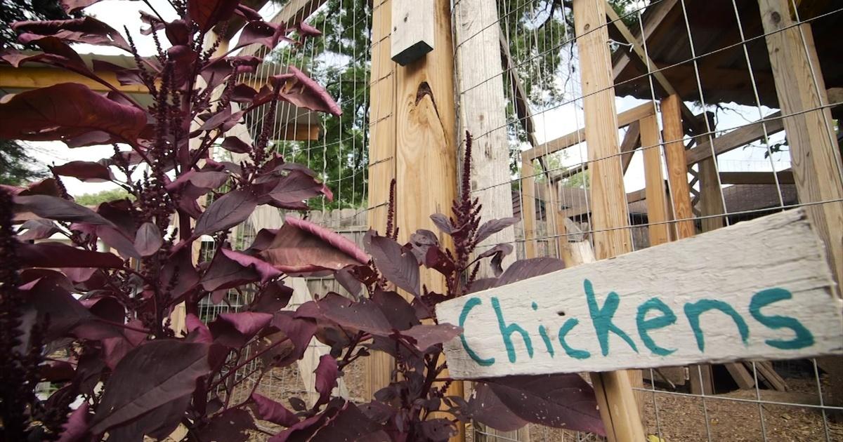 North Carolina Weekend Roots and Fruits Market Season 15 Episode