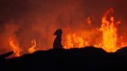 The Anthony Wayne Fire of 1961