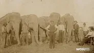 The Circus Comes to Town