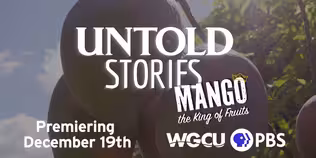 Untold Stories - Mango The King of Fruits Promo
