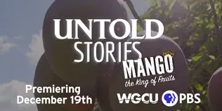 Untold Stories - Mango The King of Fruits Promo