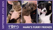 9/25/2025 | Sprite, Rebecca Black and Henry | Mark's Furry Friends