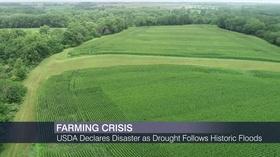 Video thumbnail: Chicago Tonight USDA Disaster Declaration Promises Relief for State Farmers