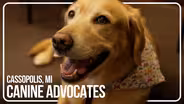 How Canine Advocates Help Victims in the Court