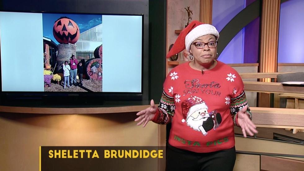 Christmas shopping essays image