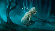 Was Púca the Nightmare Bunny That Inspired Donnie Darko?